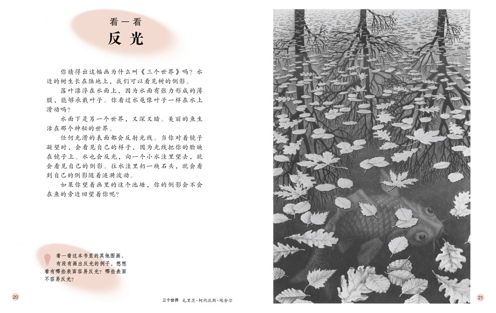 看光线 (10),绘本,绘本故事,绘本阅读,故事书,童书,图画书,课外阅读